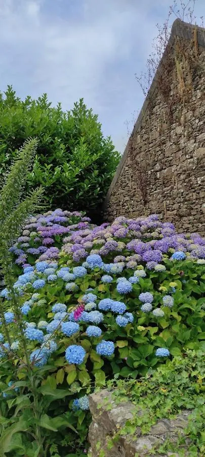 Gite - Les Pivoines - Les Jardins De Kerellec - 20Min De La Mer 4 A 6 Personnes Terrasse Jacuzzi Plouvorn